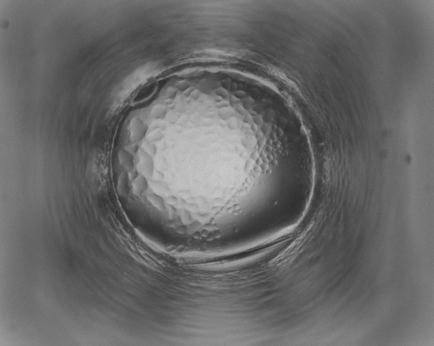 X0000067941355200604201355