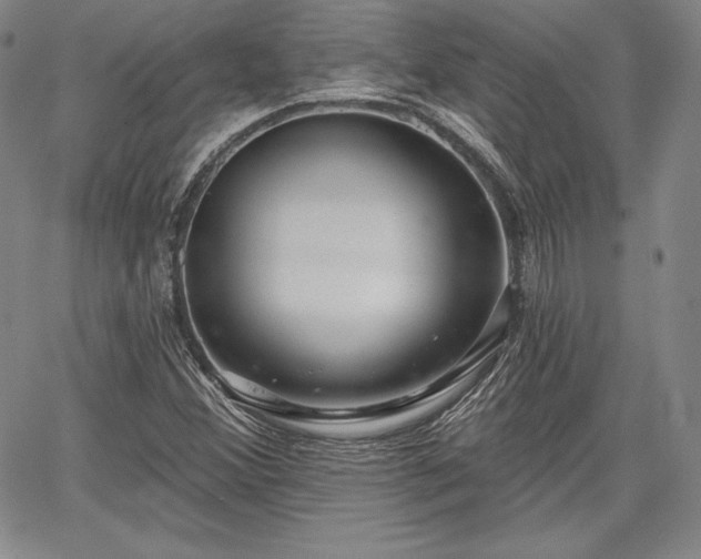 X0000067941356200604201355