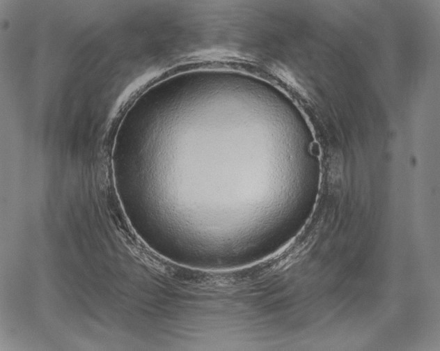 X0000067941358200604201355