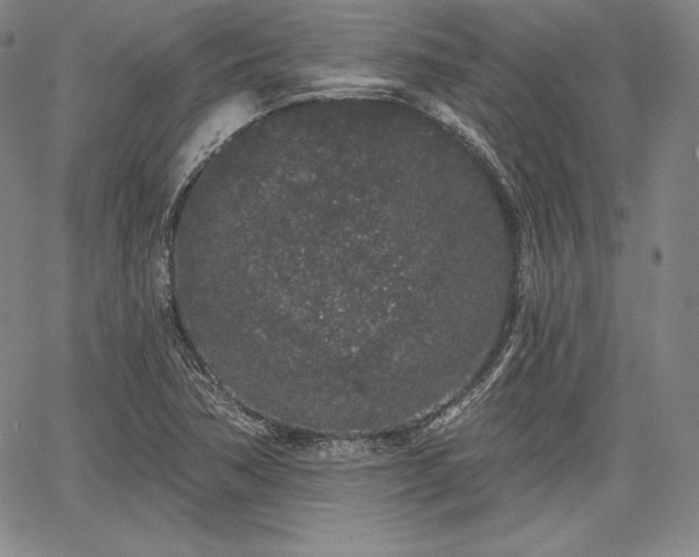 X0000067941362200604201355
