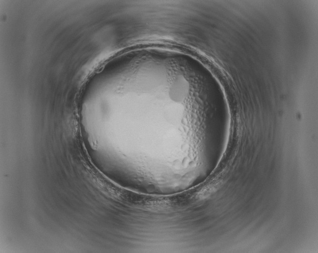 X0000067941363200604201355