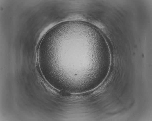 X0000067941366200604201355
