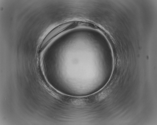X0000067941367200604201355