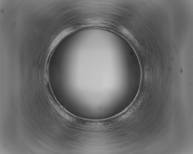 X0000067941370200604201355