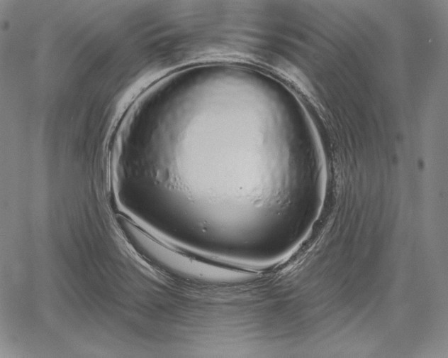 X0000067941371200604201355