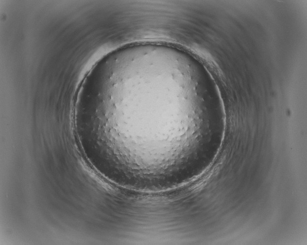 X0000067941374200604201355