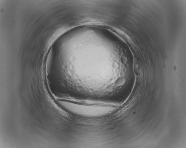 X0000067941375200604201355