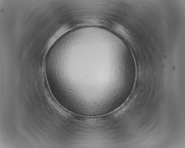 X0000067941378200604201355