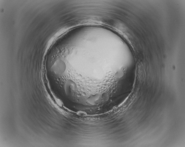 X0000067941379200604201355