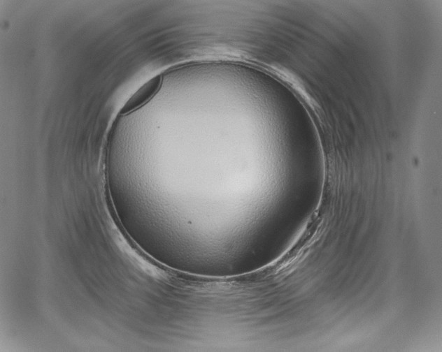 X0000067941387200604201354