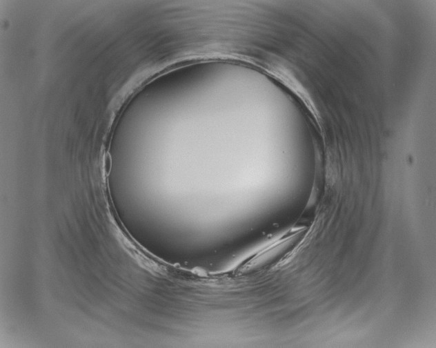 X0000067941388200604201354