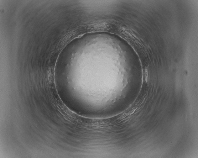 X0000067941395200604201354