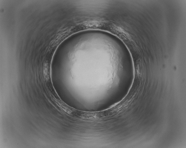 X0000067941396200604201354