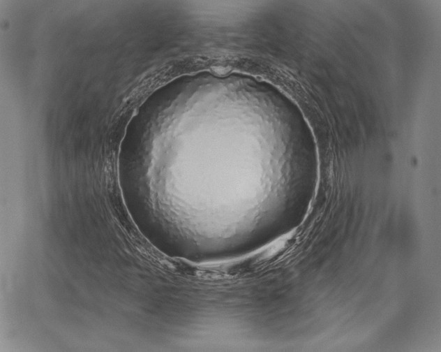 X0000067941397200604201354