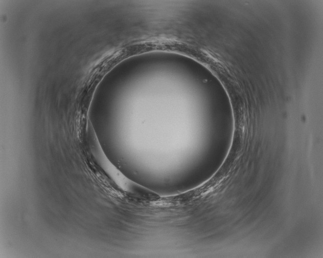X0000067941398200604201354