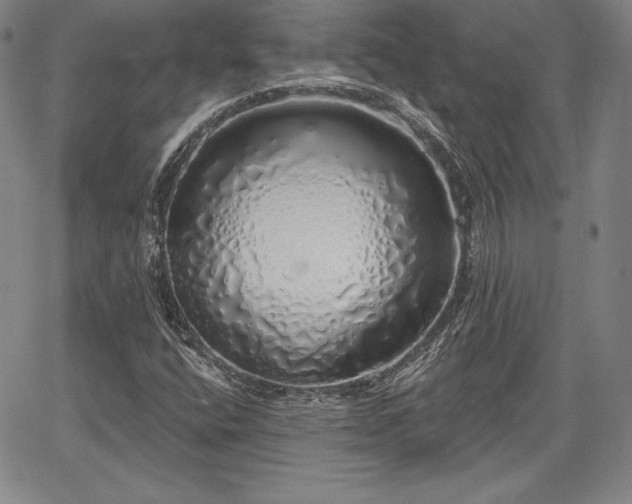 X0000067941400200604201354