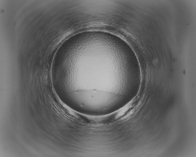X0000067941401200604201354