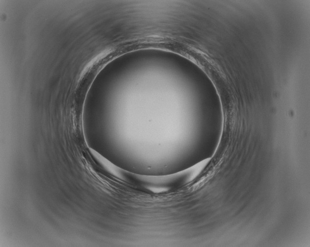 X0000067941402200604201354
