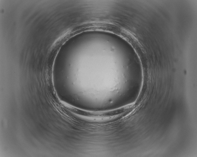 X0000067941403200604201354