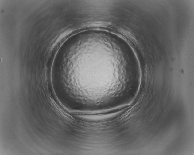 X0000067941404200604201354