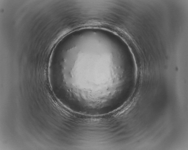 X0000067941409200604201354