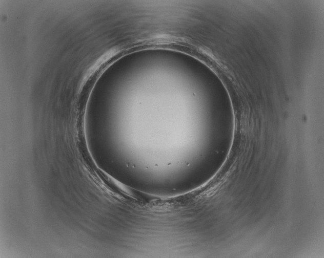 X0000067941410200604201354