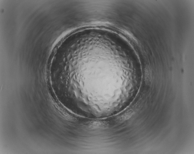 X0000067941412200604201354