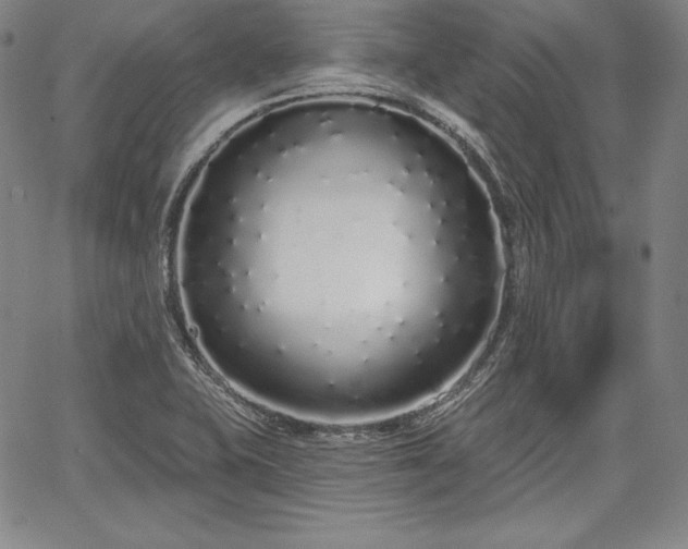 X0000067941415200604201354