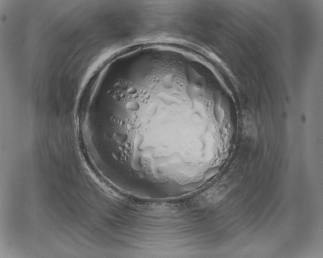 X0000067941416200604201354