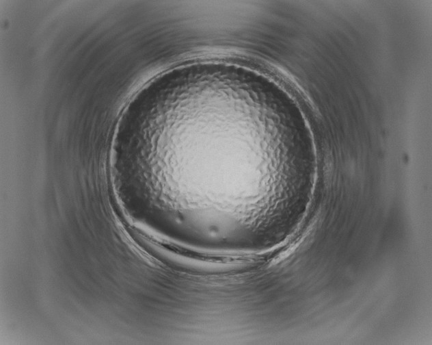 X0000067941417200604201354