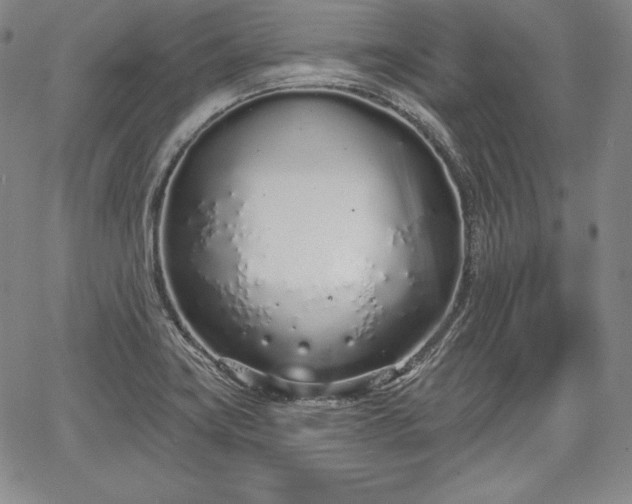 X0000067941419200604201354
