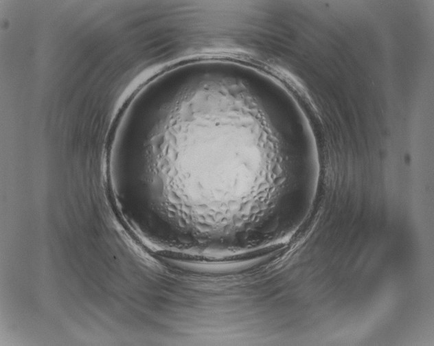 X0000067941420200604201354