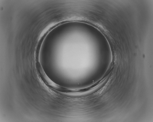 X0000067941422200604201354