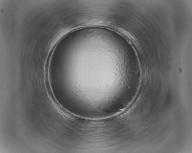 X0000067941423200604201354