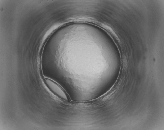X0000067941424200604201354