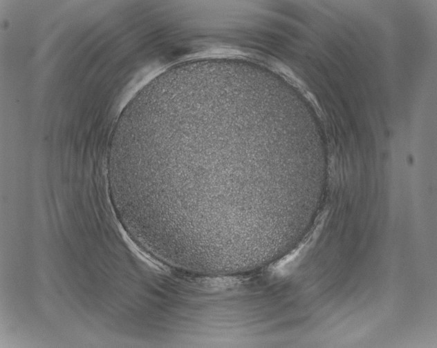 X0000067941425200604201354