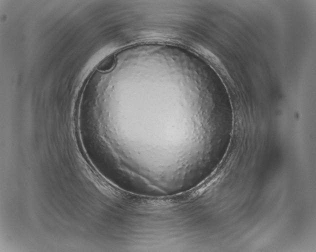 X0000067941427200604201354