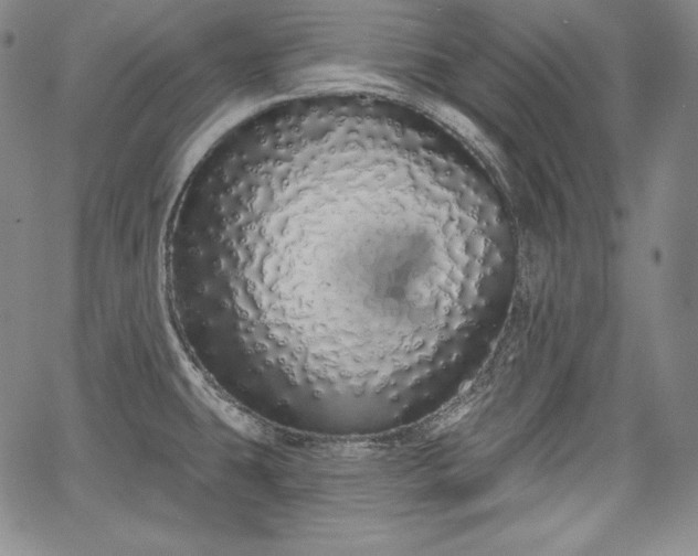 X0000067941431200604201354