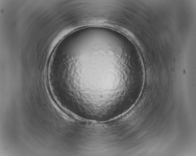 X0000067941432200604201354