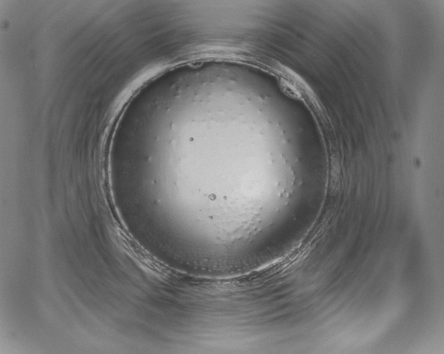 X0000067941435200604201354