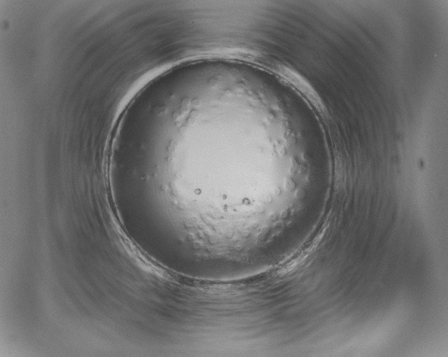 X0000067941436200604201354