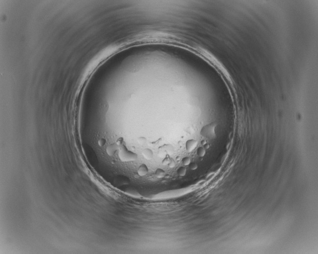 X0000067941437200604201354