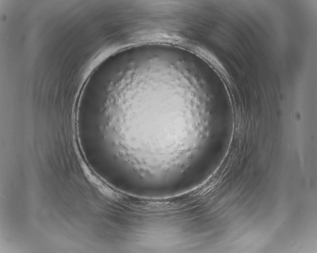 X0000067941439200604201354