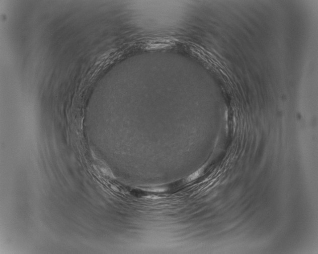 X0000067941441200604201354