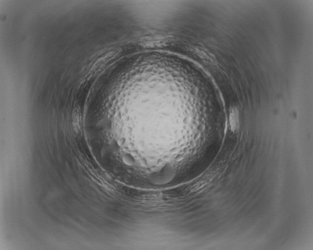 X0000067941444200604201353