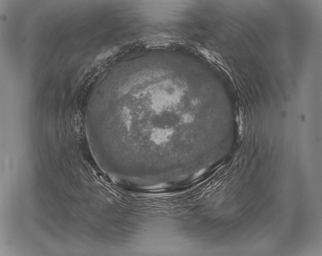 X0000067941445200604201353