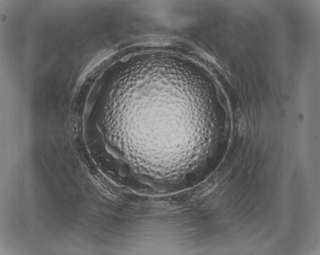 X0000067941448200604201353