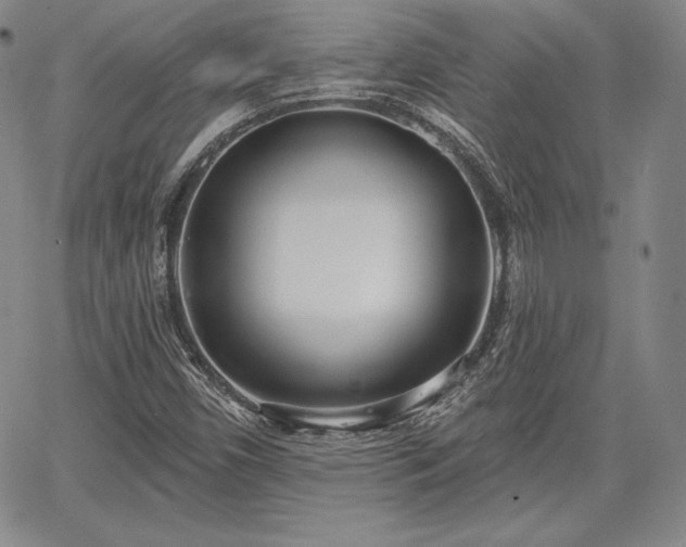 X0000067941450200604201353