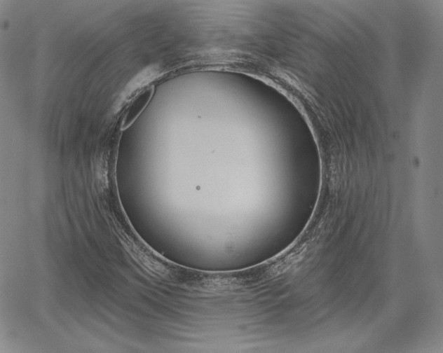 X0000067941451200604201353
