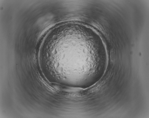 X0000067941452200604201353